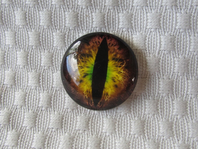 Glass eyes-25mm cabochons image 3