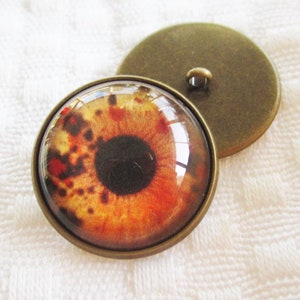 Teddy Bear Sew on Glass eyes