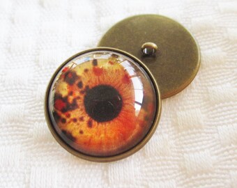 Teddy Bear Sew on Glass eyes