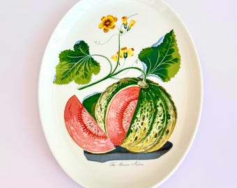 Vintage Portmeirion Pomona Amicua Melon Platter Rare Retired Made in England Oval Serving Platter
