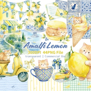 Amalfi citron och tabbykatt akvarell clipart + sömlöst mönster 44-delars set | Transparent PNG 300DPI Kommersiell användning tillåten | Handritade majolikaplattor blombuketter sötsaker