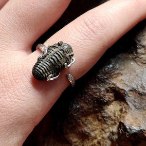 Könnte beinhalten: Ein silberner Ring mit einem detaillierten, dunkel gefärbten Trilobitenfossil. Der Ring hat ein verstellbares Band, und das Fossil ist der Mittelpunkt, der seinen segmentierten Körper und seine komplizierte Textur zeigt. Der Ring ist zum Tragen am Finger konzipiert.