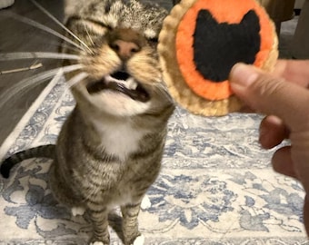 May include: A round felt cat toy featuring a scalloped edge, a tan outer ring, a bright orange middle circle, and a black cat silhouette in the centre. The toy is held near a brown tabby cat with white markings on its chest and paws.