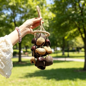 May include: A hanging wind chime featuring a cluster of brown and tan seed pods and bells. The chime is suspended from a woven rope handle. The background is a blurred green park scene.