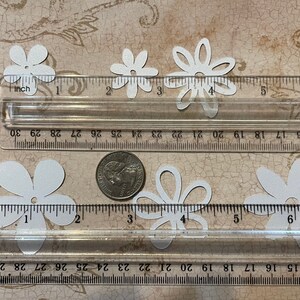 May include: White paper flower cutouts of various sizes, measured with a ruler in inches. The flowers are approximately 1 inch to 1.5 inches in diameter.