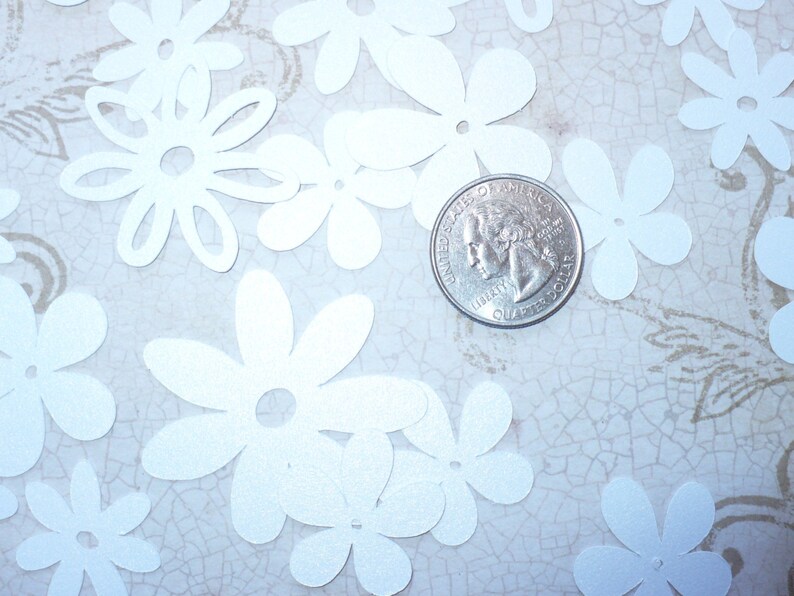 May include: A close-up of a US quarter coin on a white background with white paper flowers scattered around it. The coin is in focus and the flowers are out of focus.