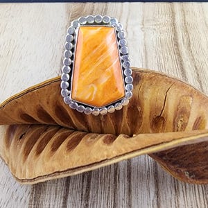 Running Bear Navajo - Etsy