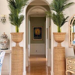 May include: Two tall, woven wicker plant stands, each supporting a lush green palm tree. The stands have a pedestal base and a flared top, creating a symmetrical display in a hallway. The hallway features a wooden floor and arched doorways.