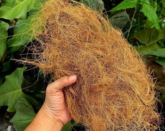 Natural Organic Coconut Husk Fiber for Plant Mulch and Reptile Bedding