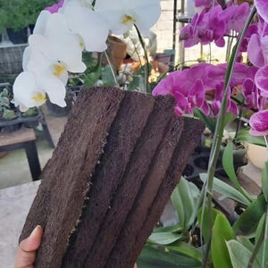 Puede incluir: Una mano sosteniendo una pila de losas rectangulares de fibra de coco marrón oscuro, con flores de orquídeas blancas y moradas en el fondo. Las losas de fibra de coco son un material natural y poroso para jardinería.