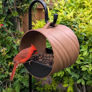 Mangeoire suspendue à passage pour oiseaux | Mangeoire à plateforme couverte | Mangeoire d'extérieur minimaliste