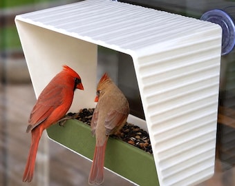 Large Window Bird Feeder | Front Row View of Backyard Birds | Custom Suction Mounted Birdfeeder