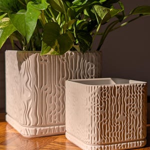 Modern Square Planter with Drainage & Tray - Indoor Plant Pot