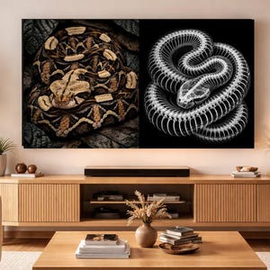 La geometría de la serpiente - Arte digital, fondo de pantalla de ingeniería natural, fondo de pantalla de Dark Academia