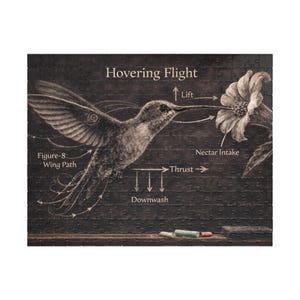 Op de afbeelding: Een zwart-wit legpuzzel met een gedetailleerde illustratie van een kolibrie in vlucht, beschreven met wetenschappelijke termen. De puzzel bevat de tekst "Hovering Flight" bovenaan.