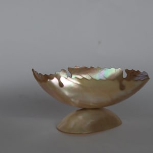 May include: An iridescent, shell-shaped bowl with a scalloped edge. The bowl is supported by a small, rounded base. The colors include shades of cream, gold, and hints of green and blue.