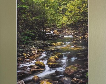 Vintage Signed Dan Backhaus Photo Print Cades Cove Creek W/Mat