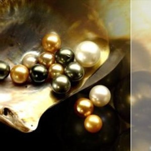 Aurora Abalone Black & Gold Pearl Necklace-Handmade Beach Jewelry image 3