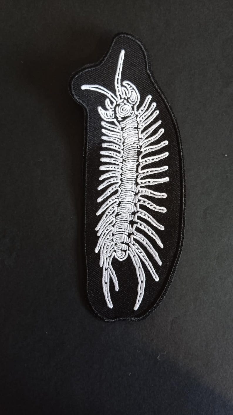 Op de afbeelding: Een zwart geborduurd embleem met een wit duizendpootontwerp. De duizendpoot heeft een gesegmenteerd lichaam met talrijke poten en antennes. De patch heeft een ovale vorm en is waarschijnlijk voor kleding of accessoires.