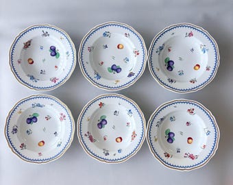 Pittoria Richard Ginori Firenze Cup and Saucer Fine Bone China