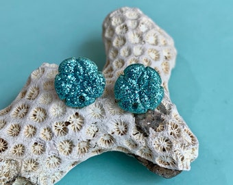 Blue Sand Dollar Earrings