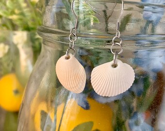 Seashell Earrings