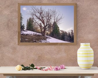 Gouden Uur Winterlandschap Fotoprint 8/10 inch oningelijste wanddecoratie