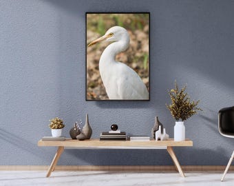 Print van een witte zilverreiger | Elegante natuurfotografie (digitale download)