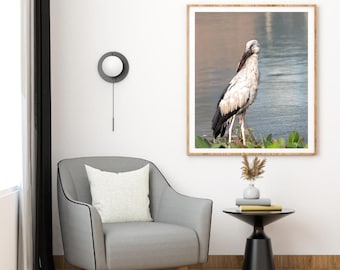 Aziatische openbill ooievaar fotografieprint – exotische vogels muurkunst (digitale download)