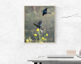 Fotoafdruk van vogels in vlucht | Minimalistische natuurkunst (digitale download)