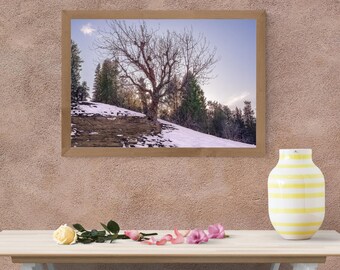 Winterlandschapsfotografie Golden Hour (digitale download)