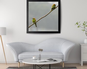 Groene bijeneters vogelfotografieprint, minimalistische natuurkunst aan de muur (digitale download)