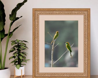 Groene bijeneter vogel kunstprint | Tropische natuurfotografie (digitale download)