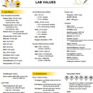 May include: A white NCLEX Cram Sheet document featuring medical lab values, arterial blood gases, cardiac labs, urinalysis, and assessment scales. The page includes illustrations of three medical professionals, a stethoscope, and a syringe icon.
