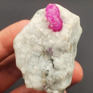 May include: A raw, uncut ruby crystal, a vibrant pink hue, is embedded in a matrix of white and gray stone. The rough texture of the ruby contrasts with the smoother, crystalline appearance of the surrounding rock. A natural gemstone.
