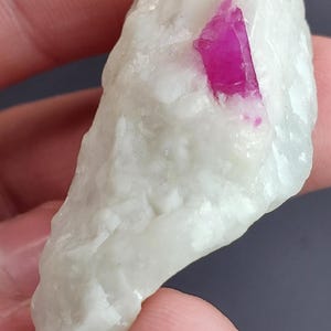 May include: A rough, off-white mineral specimen with a vibrant, fuchsia-colored crystal embedded within. The crystal has a sharp, angular shape, contrasting with the softer, textured surface of the host rock. The overall form is irregular and natural.