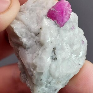 May include: A rough, white rock formation with a vibrant, hot pink ruby crystal protruding from the top. The ruby is a deep, saturated color, and the surrounding rock has a slightly granular texture. A small amount of dark flecks are visible.