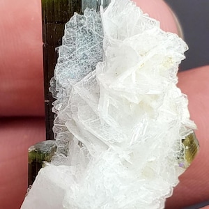 May include: A close-up of a tourmaline crystal specimen. The crystal features a dark green and black colour with a white, crystalline matrix. The tourmaline has a columnar structure with a glassy lustre.