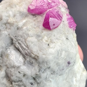 May include: A close-up of a rough, white stone with several vibrant pink crystal formations. The crystals have sharp, geometric shapes and reflect light. The stone has a textured surface with gray and black inclusions.