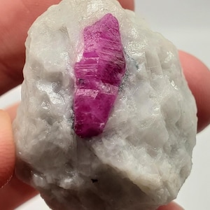 May include: A rough, uncut gemstone featuring a vibrant, deep pink ruby crystal embedded in a matrix of white stone. The ruby has a crystalline structure, and the surrounding stone has a textured, uneven surface. The contrast between the colors and textures is striking.