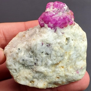 May include: A rough, uncut ruby gemstone, a vibrant pinkish-red color, sits atop a matrix of white and gray rock. The ruby is the focal point, showcasing its natural, unpolished form. The stone is held in a hand.