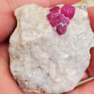 May include: A rough, white rock with a cluster of vibrant, deep pink ruby crystals. The ruby crystals are clustered together, contrasting with the textured, light-colored matrix. The natural stone is held in a hand.