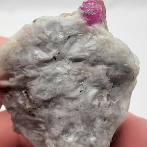 May include: A rough, light gray mineral specimen with a vibrant, hot pink crystal formation protruding from the top. The crystal is translucent and reflects light, contrasting with the opaque, textured base.