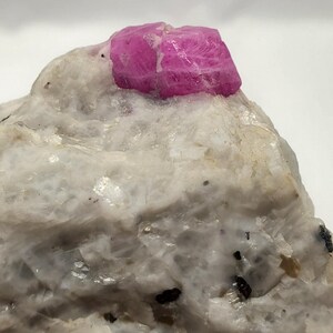 May include: A close-up of a rough, white rock with a vibrant, pink gemstone embedded on top. The gemstone has a crystalline structure and a slightly rough texture. The rock has a speckled appearance with small, dark inclusions.