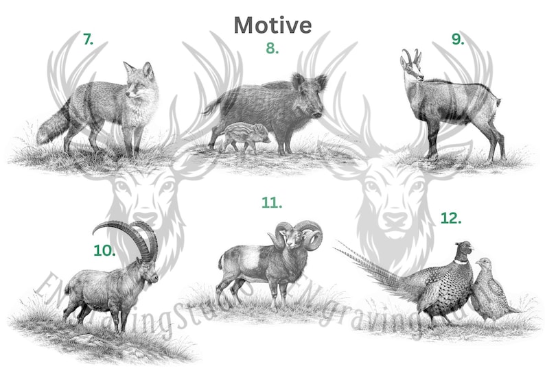 May include: A collection of six black and white wildlife illustrations labeled with numbers 7 through 12. The images depict a fox, a wild boar with a piglet, a chamois, an ibex, a mouflon ram, and a pair of pheasants, all set against a white background.