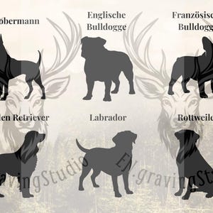 Peut inclure: Une collection de six silhouettes de chiens noires dispos&eacute;es sur deux rang&eacute;es, &eacute;tiquet&eacute;es Dobermann, Englische Bulldogge, Franz&ouml;sische Bulldogge, Golden Retriever, Labrador et Rottweiler, avec le texte EN.gravingStudio sur le fond.