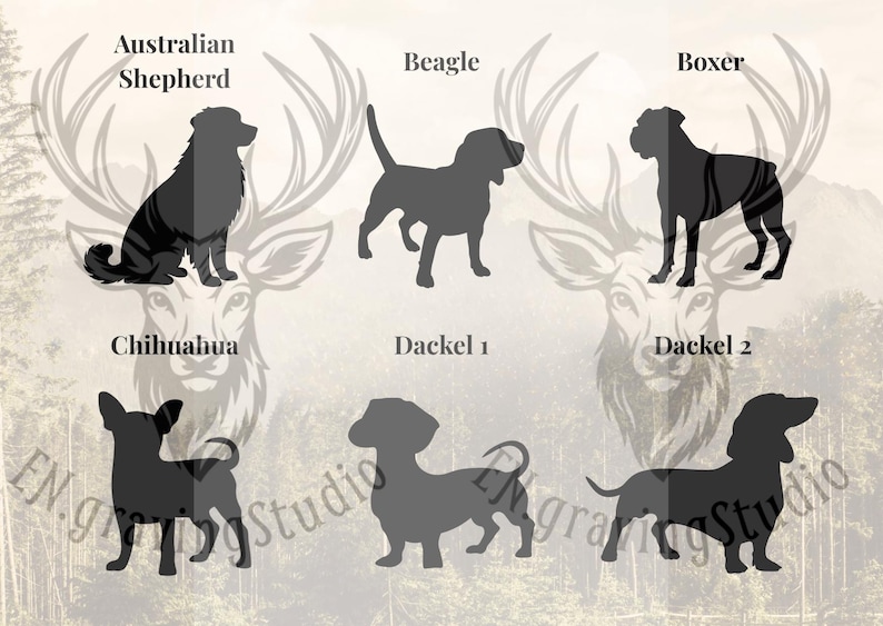 Peut inclure: Une collection de six silhouettes de chiens noires dispos&eacute;es sur deux rang&eacute;es, &eacute;tiquet&eacute;es Australian Shepherd, Beagle, Boxer, Chihuahua, Dackel 1 et Dackel 2. L'arri&egrave;re-plan pr&eacute;sente un graphique de t&ecirc;te de cerf p&acirc;le et le texte EN.gravingStudio.
