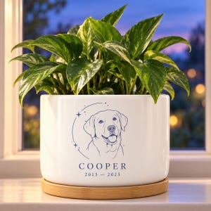 May include: A white ceramic planter with a bamboo base containing a green and yellow variegated pothos plant. The planter features a blue line art illustration of a dog, the name COOPER, and the years 2013 - 2025 printed in blue ink.