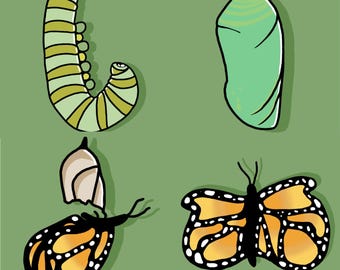 Point de chaîne Twitch papillon