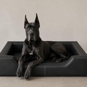 May include: A large black dog with pointed ears resting in a rectangular black pet bed. The bed features a smooth, leather-like surface with visible stitching along the edges and a low-profile frame that provides a structured, supportive base.